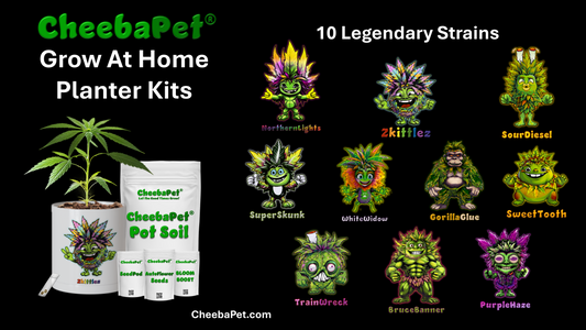 CheebaPet Origin and Vision:  A Home Grow Revolution
