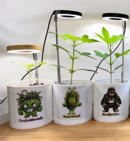 CheebaPet Halo Grow Light Mini - Full Spectrum 48 LEDs Adjustable Height 5" - 22"