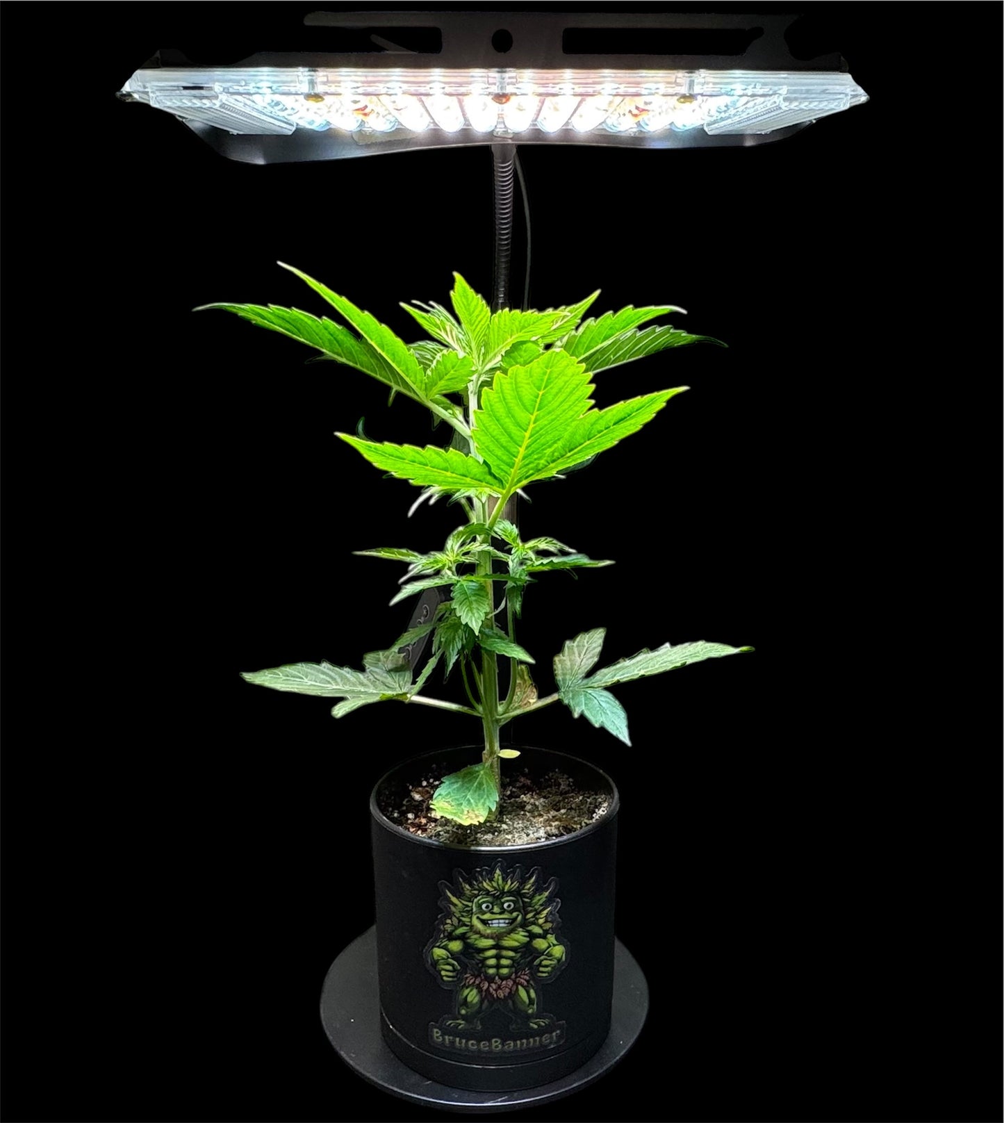 CheebaPet Desk Grow Lamp - 214 LEDs Full Spectrum Adjustable Height 10" - 26"