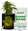 CheebaPet Planter Kit - SweetTooth