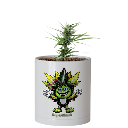 CheebaPet Planter Kit - SuperSkunk