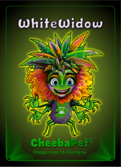 CheebaPet Planter Kit - WhiteWidow