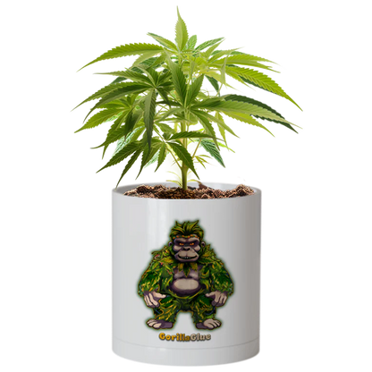 CheebaPet Planter Kit - GorillaGlue
